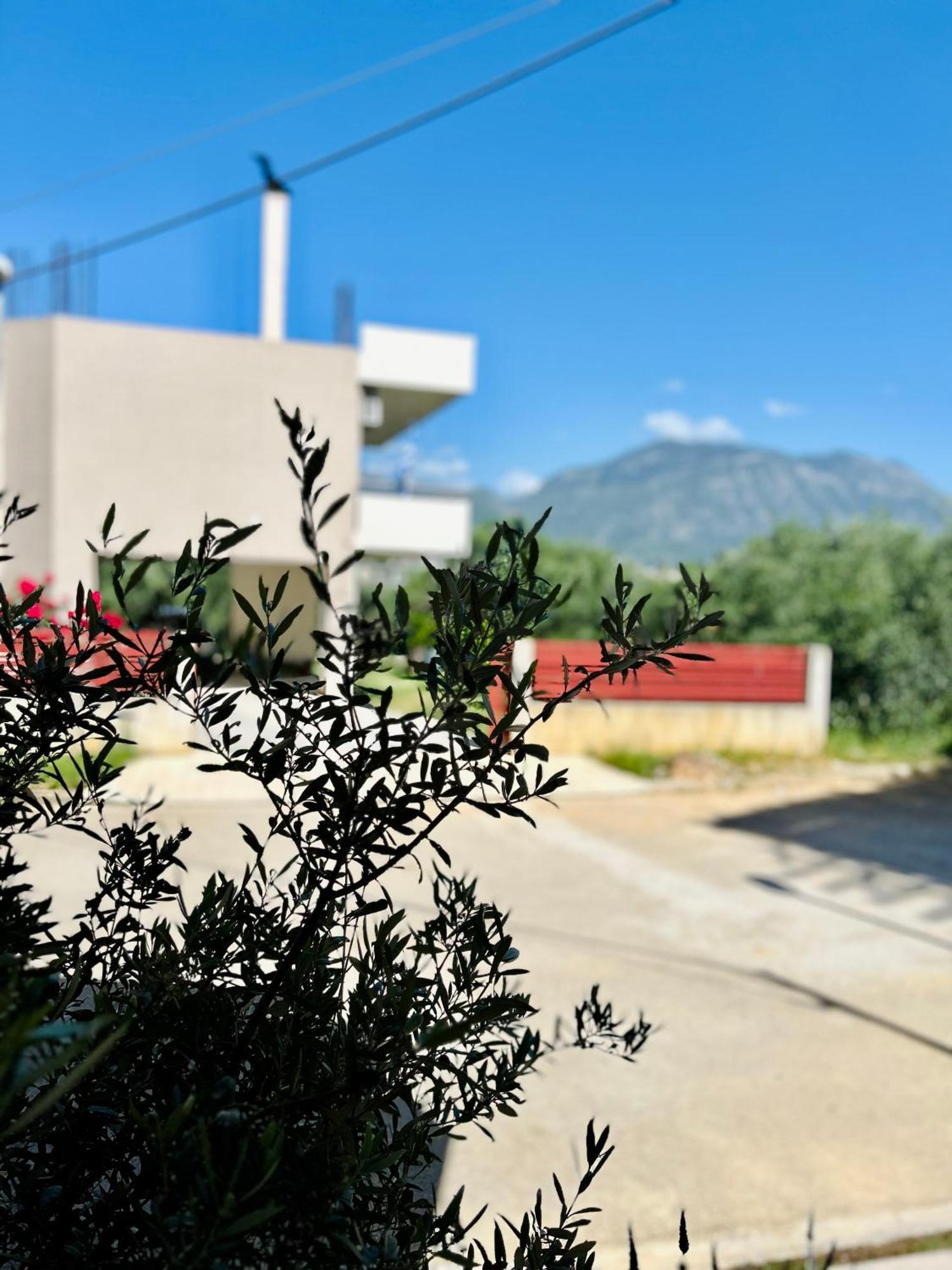 Feel At Home - Kalamata - Near The Center 외부 사진